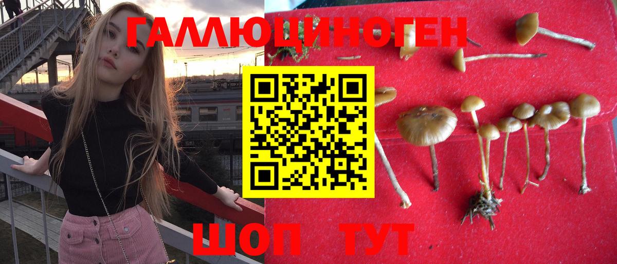 Псилоцибиновые грибы мухоморы  Вход с VPN  Симферополь 
